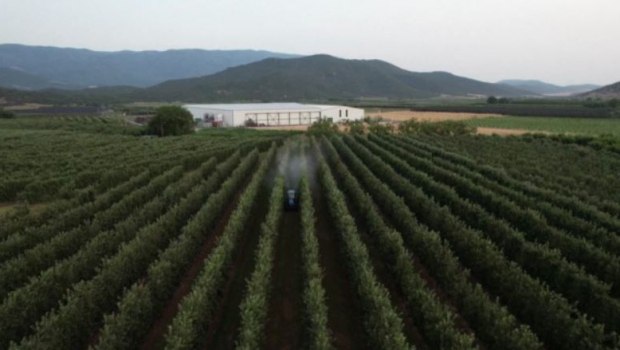 Ξεκινά μπαράζ ελέγχων στα βιολογικά – Αποσύρουν τις αιτήσεις μελισσοκόμοι & κτηνοτρόφοι