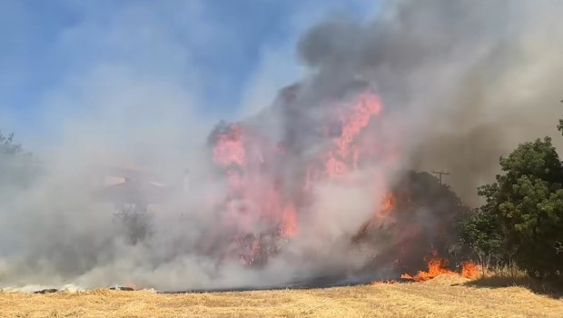 Φωτιά στη Λέσβο - Επιχειρούν και εναέρια μέσα