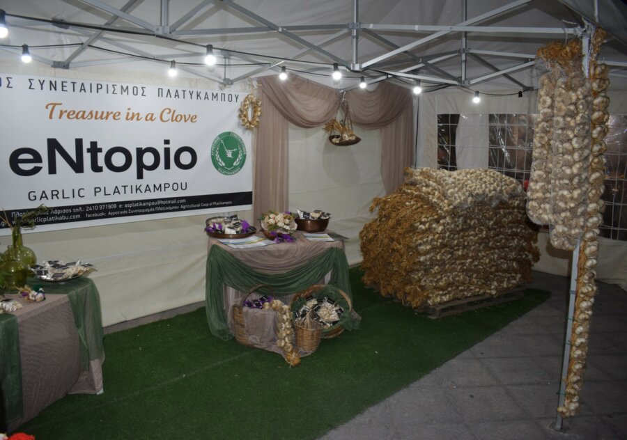 giorti-skordou