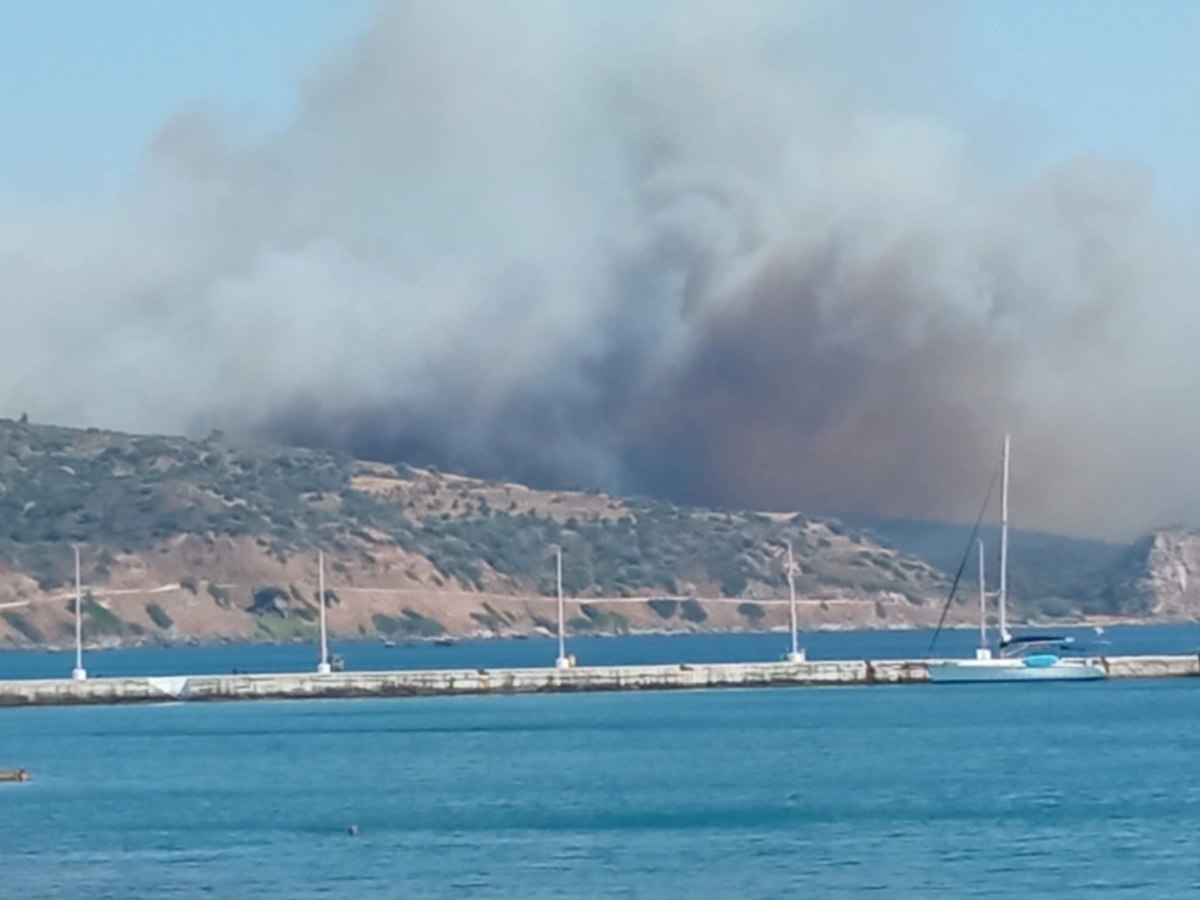 Φωτιά στο Λάχιο Λακωνίας – Μήνυμα του 112 για απομάκρυνση προς Νεάπολη - Ενισχύονται οι δυνάμεις