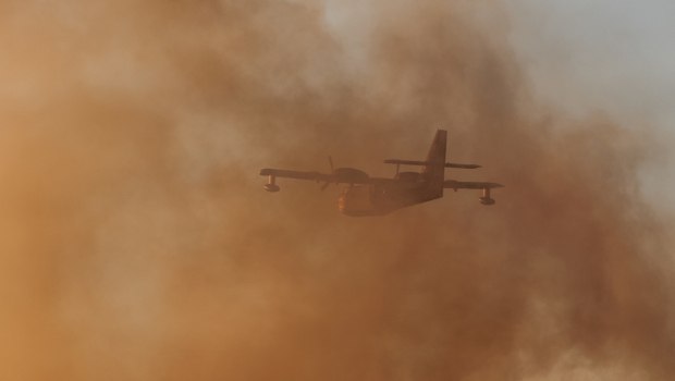 Φωτιά σε δασική έκταση στην Καρδίτσα - Σηκώθηκαν 5 αεροσκάφη