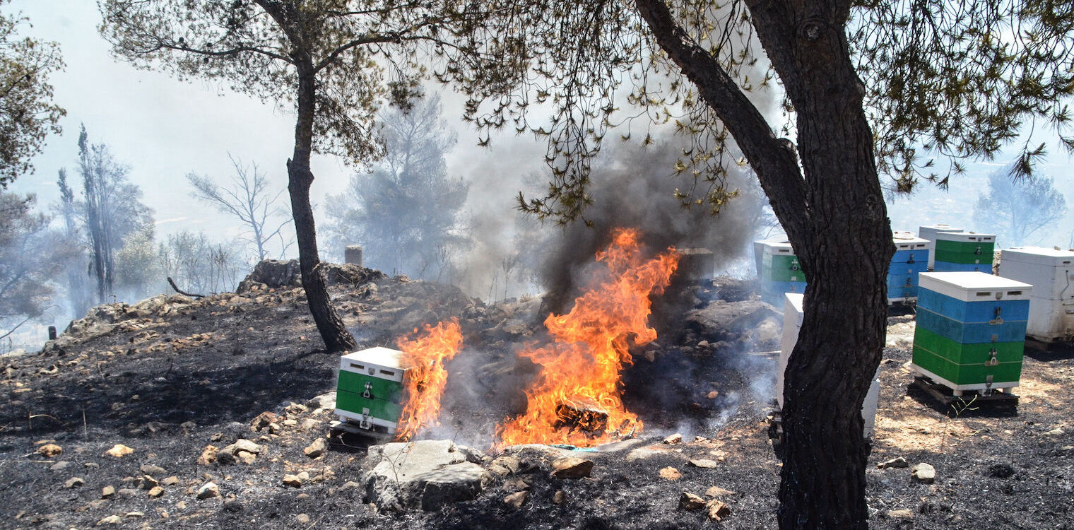 Μαγνησία: Ενημέρωση προς αγρότες, κτηνοτρόφους και μελισσοκόμους για την πρόληψη πυρκαγιών κατά την περίοδο υψηλών θερμοκρασιών