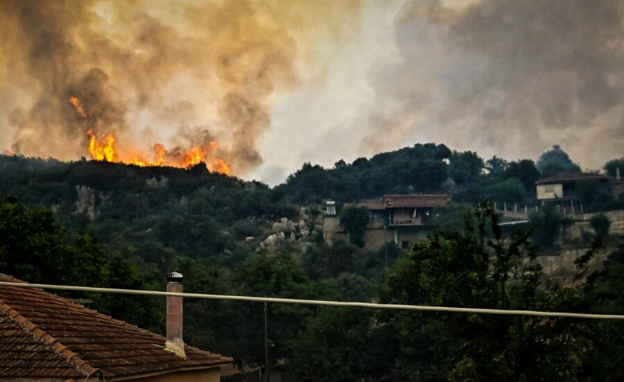 «Η πιο καταστροφική -μέχρι στιγμής- φωτιά του φετινού καλοκαιριού» στον Φενεό - Καίγεται παρθένο ελατόδασος