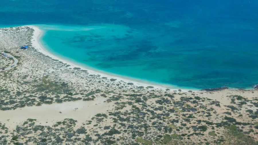 Ο Νινγκαλού φλέγεται κάτω από το νερό – Σήμα κινδύνου για τα κοράλλια της Αυστραλίας