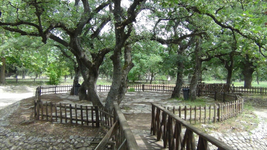 kouri