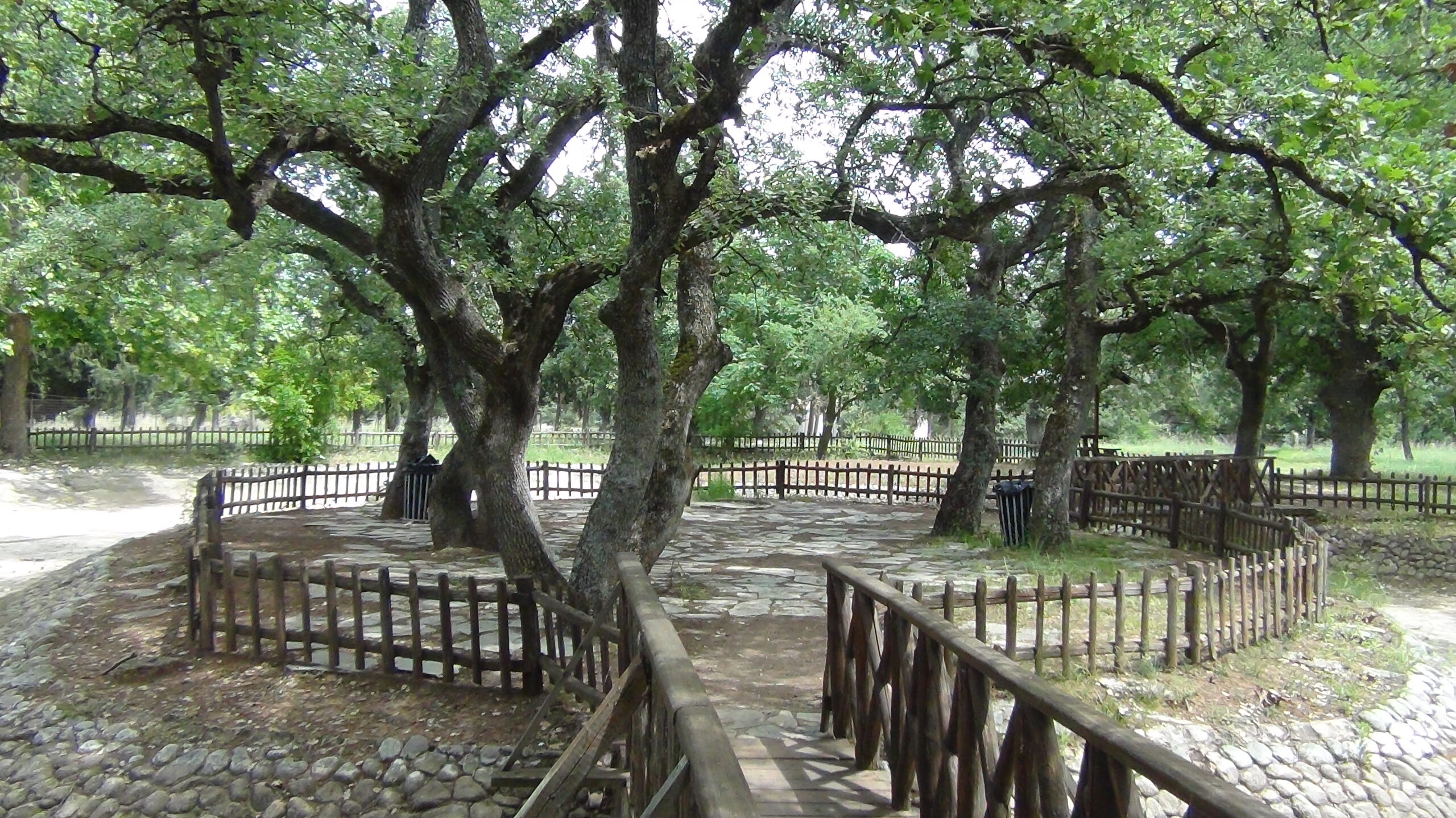 kouri