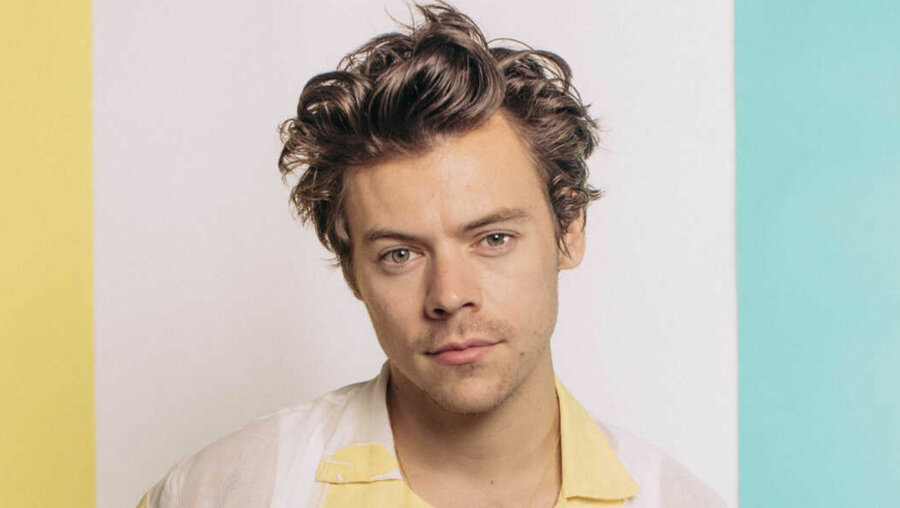 Harry Styles: Λανσάρει προϊόντα sex toys