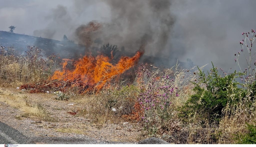 Κοζάνη: Καλύτερη η εικόνα της φωτιάς στα Λιβερά