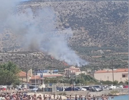 Φωτιά στην Πλύτρα Λακωνίας - Στη μάχη 7 εναέρια μέσα