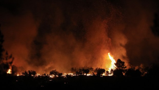 Φωτιά στο Βασιλίτσι Μεσσηνίας [βίντεο]