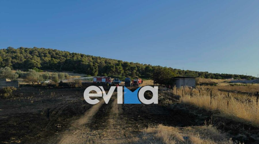 Εύβοια: Τραυματίστηκε εθελοντής πυροσβέστης κατά τη διάρκεια κατάσβεσης φωτιάς