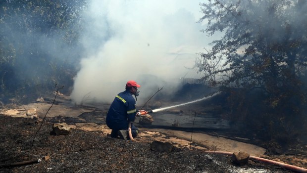 Φωτιά σε δασική έκταση στη Μικρά Σάντα Ημαθίας - Σηκώθηκαν εναέρια μέσα