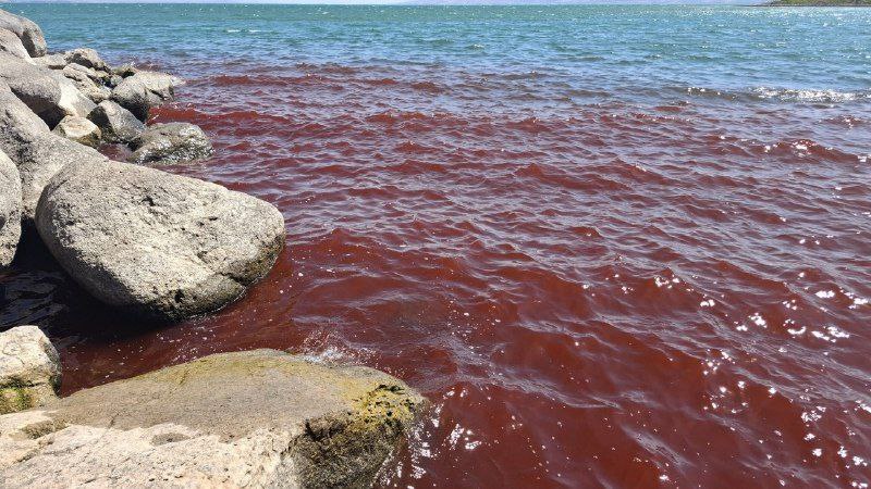Βιβλικές εικόνες στη θάλασσα της Γαλιλαίας – «Βάφτηκε» κόκκινη (video)