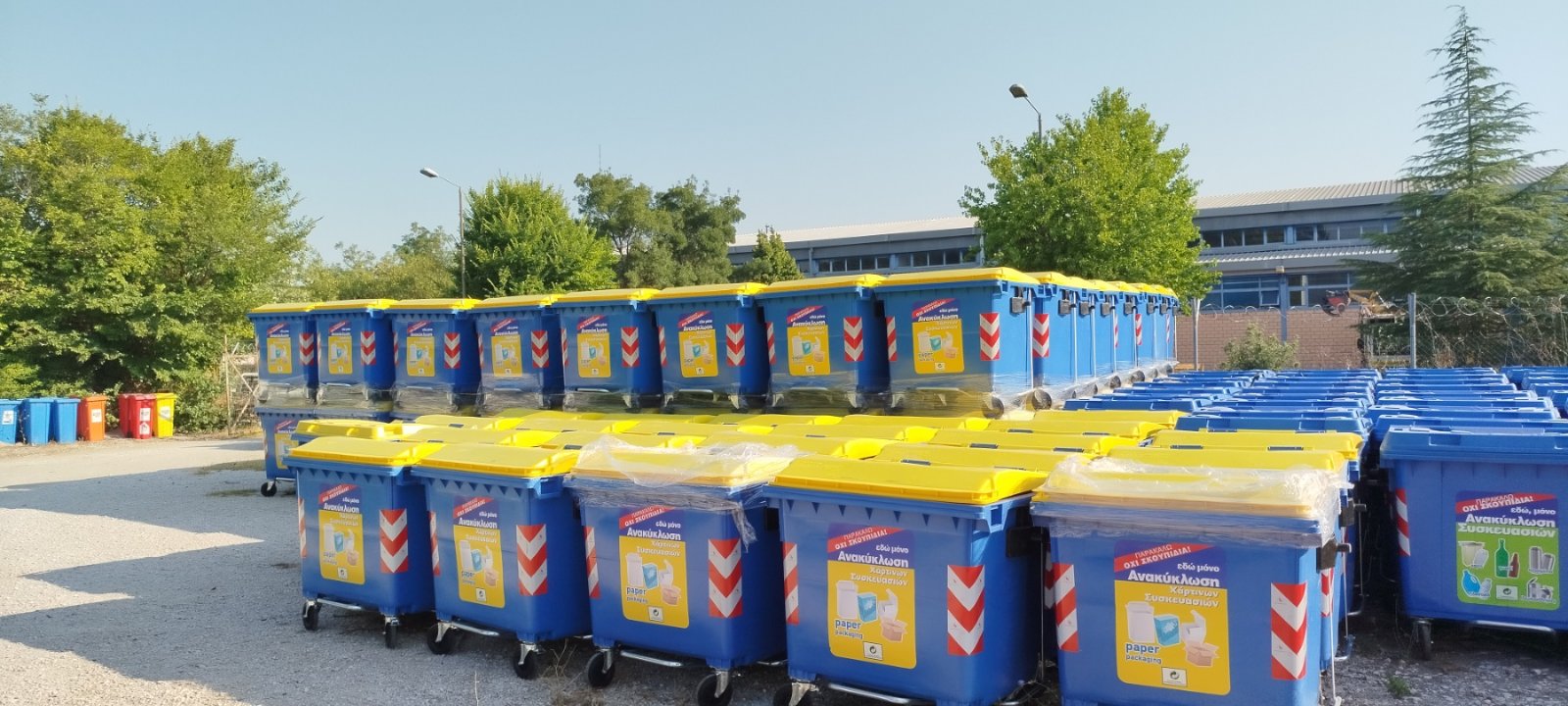 recycle-larisa