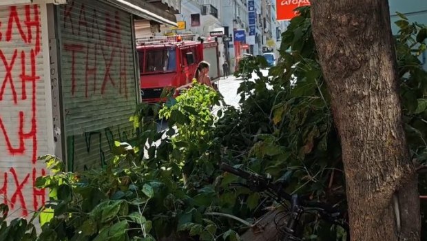 Αθήνα: Έπεσε δέντρο στην Ερμού λόγω ισχυρών ανέμων