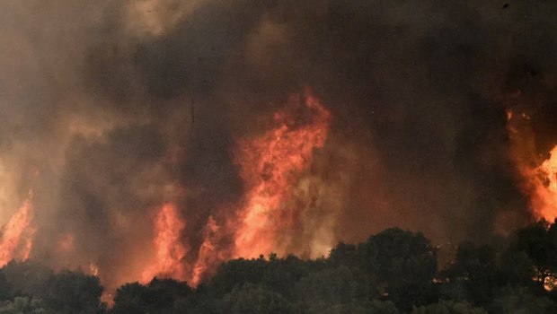 Πυρκαγιά ξέσπασε στην Οινόη Αττικής - Ισχυρές δυνάμεις και μήνυμα από το 112