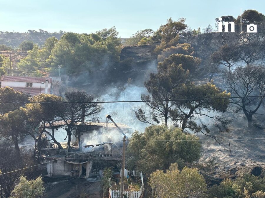Φωτιά στην Ανατ. Αττική: Αποκαρδιωτικές εικόνες - «Υπάρχει βίντεο που δείχνει ένα άτομο να κινείται ύποπτα»