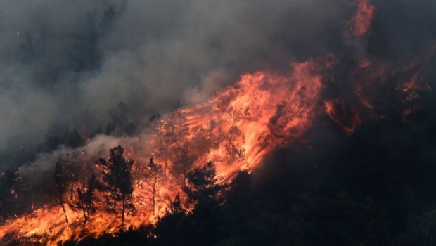Φωτιά στην Αρχαία Νεμέα - Μήνυμα του 112 καλεί σε εκκένωση