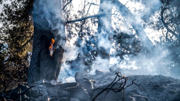 Φωτιά στη Χίο - Μήνυμα του 112 για εκκενώσεις 7 περιοχών