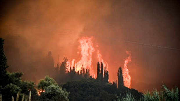 Από τον καπνό στην επιβίωση: πώς να μείνουμε ασφαλείς στις δασικές πυρκαγιές