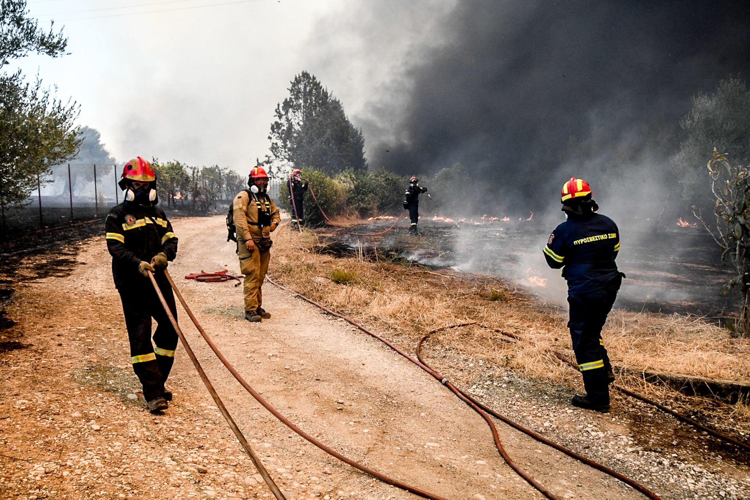 ΑΑΔΕ: Ολοσχερής καταστροφή στα οχήματα, που φυλάσσονται στο Τελωνείο Πάτρας