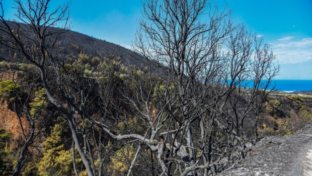 Ρέθυμνο: Συνελήφθη 53χρονος για διέγερση πολιτών σε διάπραξη εγκλημάτων με αφορμή τις φωτιές