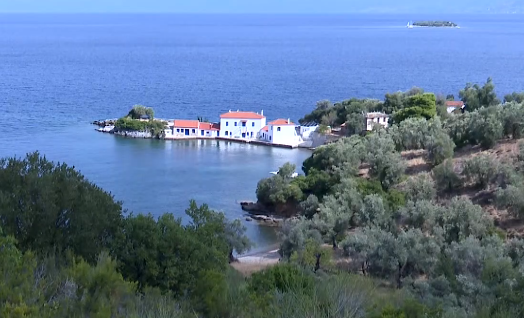 pilio1