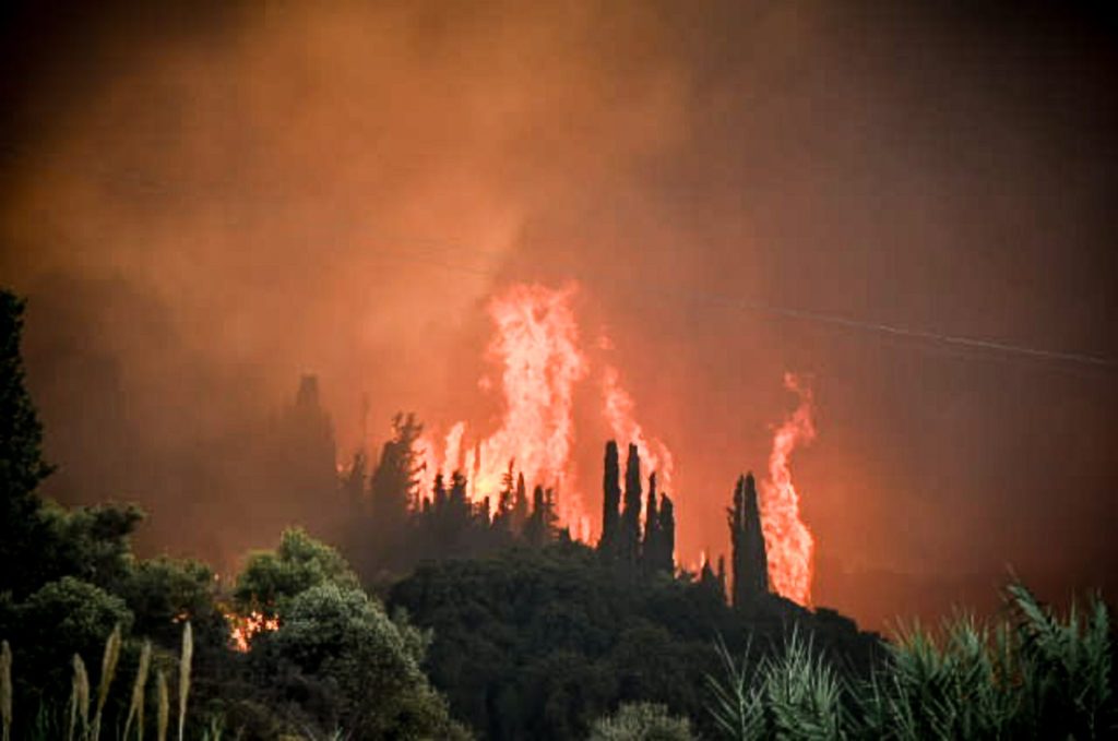 Φωτιά σε δάσος Πάτρας