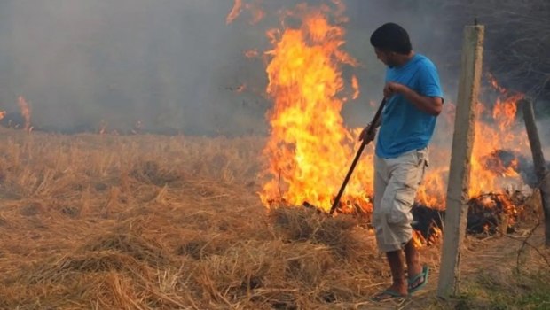 Συλλήψεις και πρόστιμα για φωτιές στην ύπαιθρο σε Αττική, Χαλκιδική, και Φάρσαλα