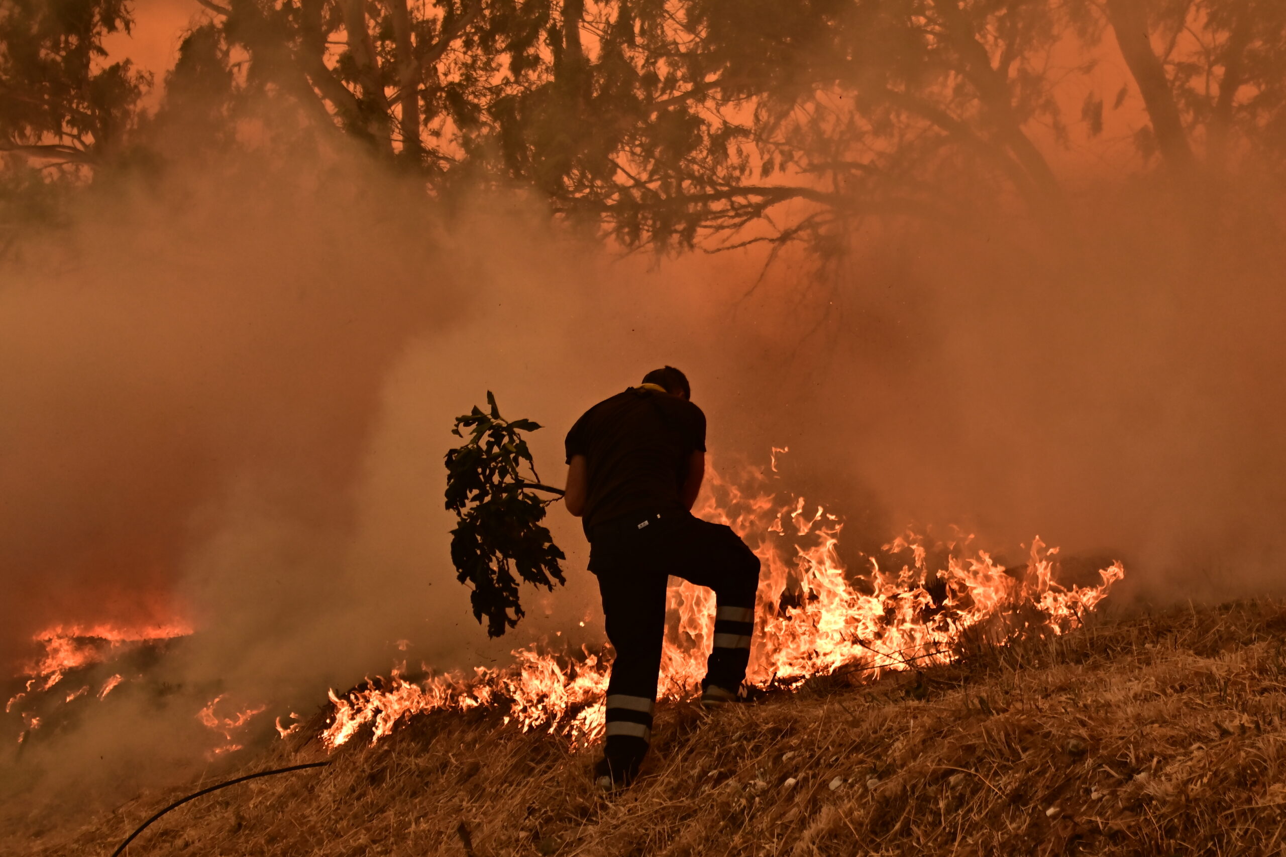 [379439] ΠΥΡΚΑΓΙΑ ΣΤΟΝ ΑΓΙΟ ΣΤΕΦΑΝΟ ΣΤΗ ΠΕΡΙΟΧΗ ΔΡΟΣΟΠΗΓΗ ΣΤΙΣ ΑΦΙΔΝΕΣ  (ΚΩΣΤΑΣ ΤΖΟΥΜΑΣ/EUROKINISSI)