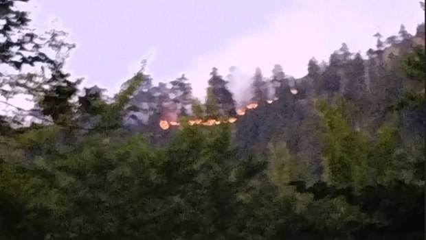 Φωτιά στον Εθνικό Δρυμό της Βάλια Κάλντα - Ξέσπασε σε δύσβατο σημείο από κεραυνό