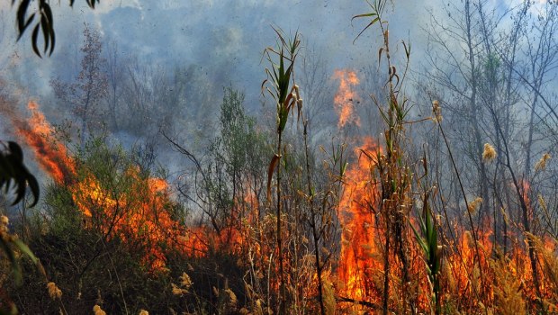 Θεσσαλονίκη: Φωτιά στον Χορτιάτη - Μεγάλη κινητοποίηση της Πυροσβεστικής
