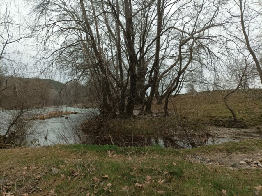 platania-koilada-tempon-1024x766