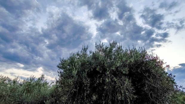 Αίθριος ο καιρός την Παρασκευή - Έρχονται βροχές και καταιγίδες το Σαββατοκύριακο