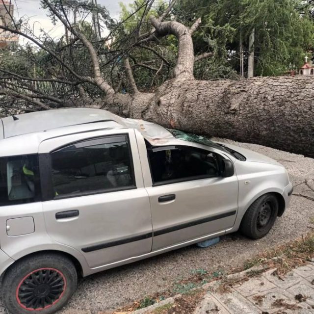 Κακοκαιρία: 100 κλήσεις δέχθηκε η Πυροσβεστική λόγω των ισχυρών βροχοπτώσεων και των θυελλωδών ανέμων