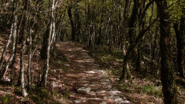 Ήπειρος: Τουρίστρια αγνοείται στο Ζαγόρι - Εξαφανίστηκε όταν εκείνος απομακρύνθηκε για να βγάλει φωτογραφίες