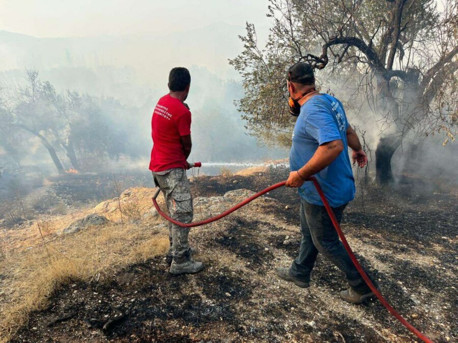 Φωτιά στη Λέσβο: Οι άνεμοι αναζωπύρωσαν τις φλόγες στη Βρίσα - Ενισχύονται οι δυνάμεις