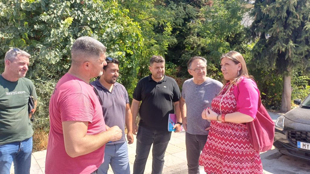 konstantopoulou-platykampos