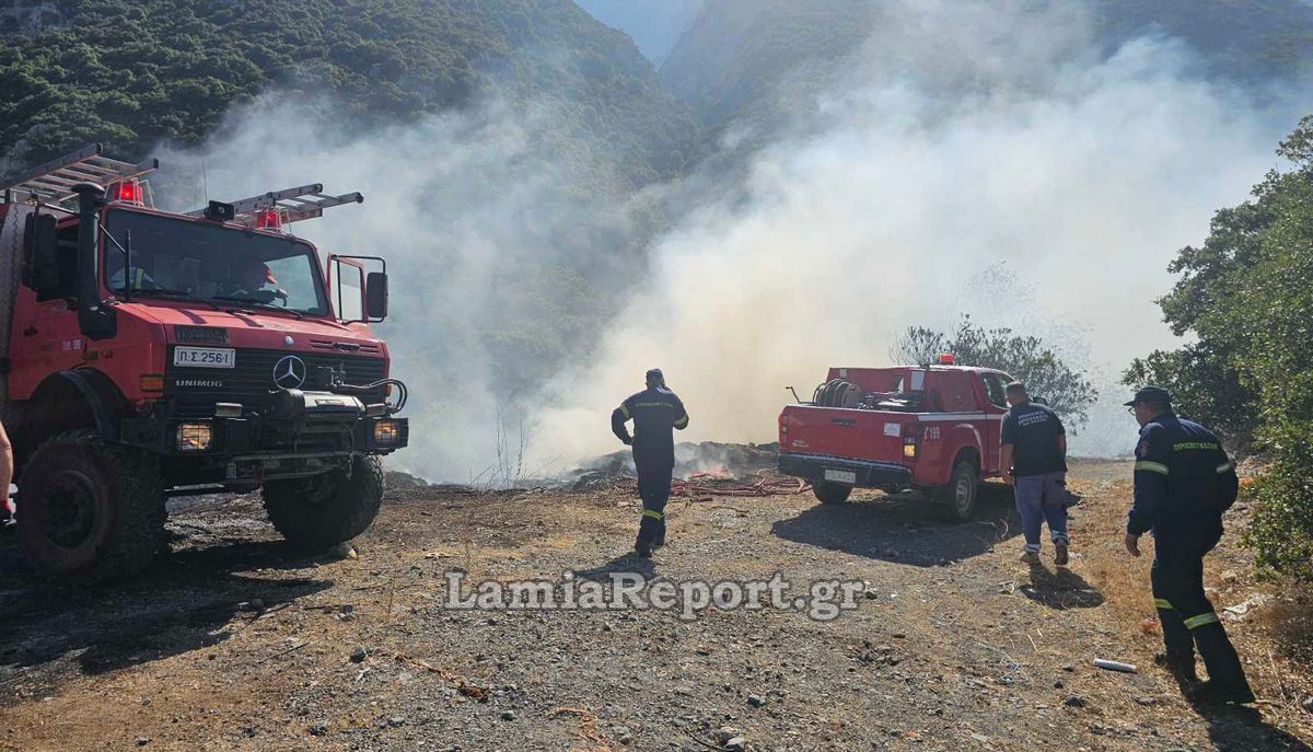 Πυρκαγιές σε Φθιώτιδα και Λάρισα - Επιχειρούν εναέρια