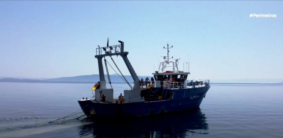 “Ραντάρ” προβλέπει τον κίνδυνο εισβολής επικίνδυνων ξενικών ειδών