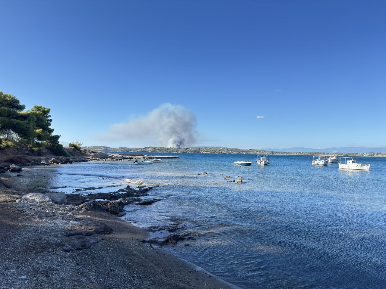 εικόνα που δείχνει στιγμιότυπο από τη φωτιά που καίει στο Κουνούπι Αργολίδας