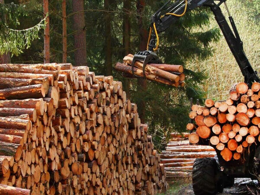 wood