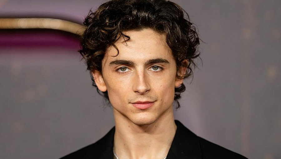 Timothée Chalamet: Με ξυρισμένο κεφάλι για τις ανάγκες της νέας του ταινίας