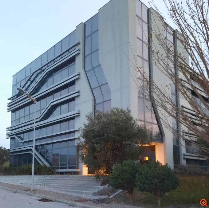 Πλειστηριασμοί: Τα