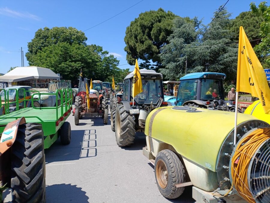 agrotes-agias1