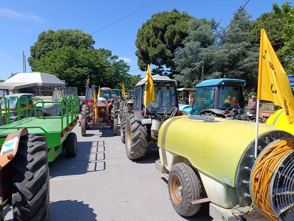 agrotes-agias1