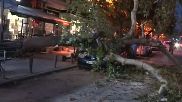 Θεσσαλονίκη: Δέντρο έπεσε πάνω σε ΙΧ σε κεντρικό δρόμο