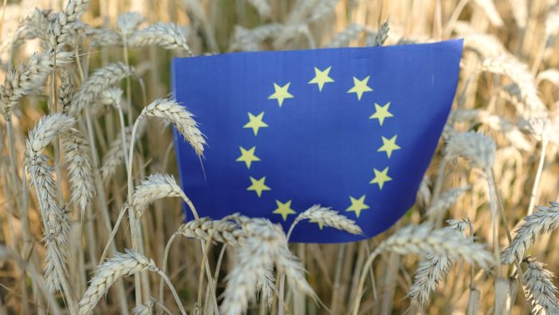 Οργανωμένη εγκληματική ομάδα. λέει η Ευρωπαϊκή Εισαγγελία για τις 37 συλλήψεις για τον ΟΠΕΚΕΠΕ - Πώς δρούσε