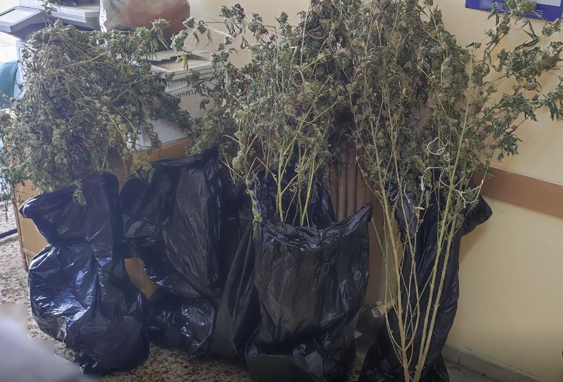 Πειραιάς: Εντοπίστηκε πλήρως εξοπλισμένο εργαστήριο καλλιέργειας κάνναβης [εικόνες]