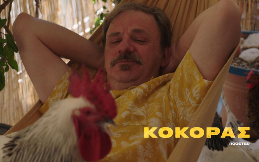 540760224-122172782498566949-6659591704209020073-n